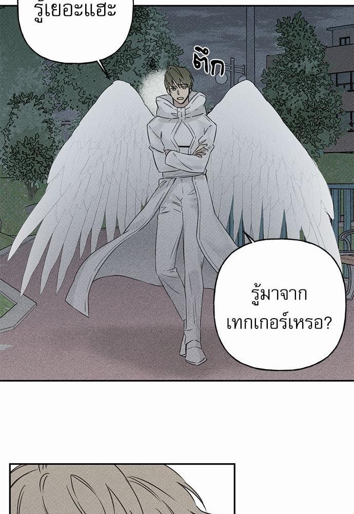 Angel Buddy5 31